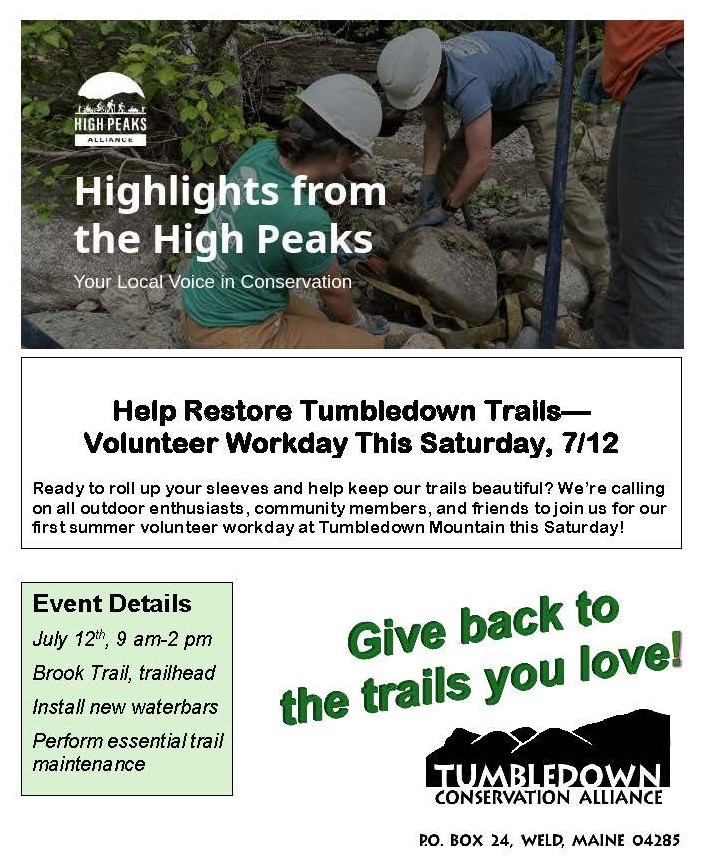 Tumbledown Volunteer Day 2025